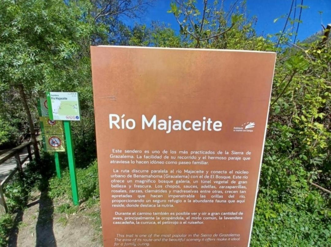 Mi Descanso El Bosque Esterno foto